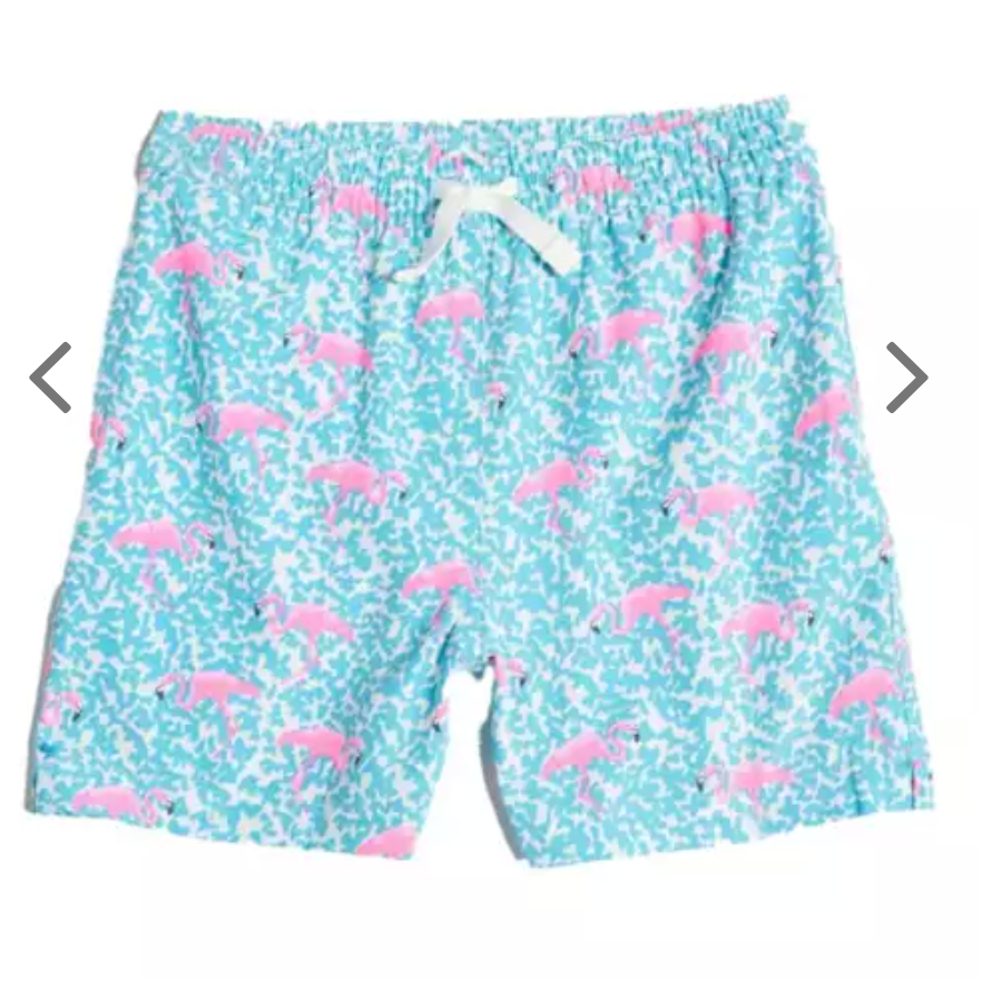 Chubbies Swim Trunks